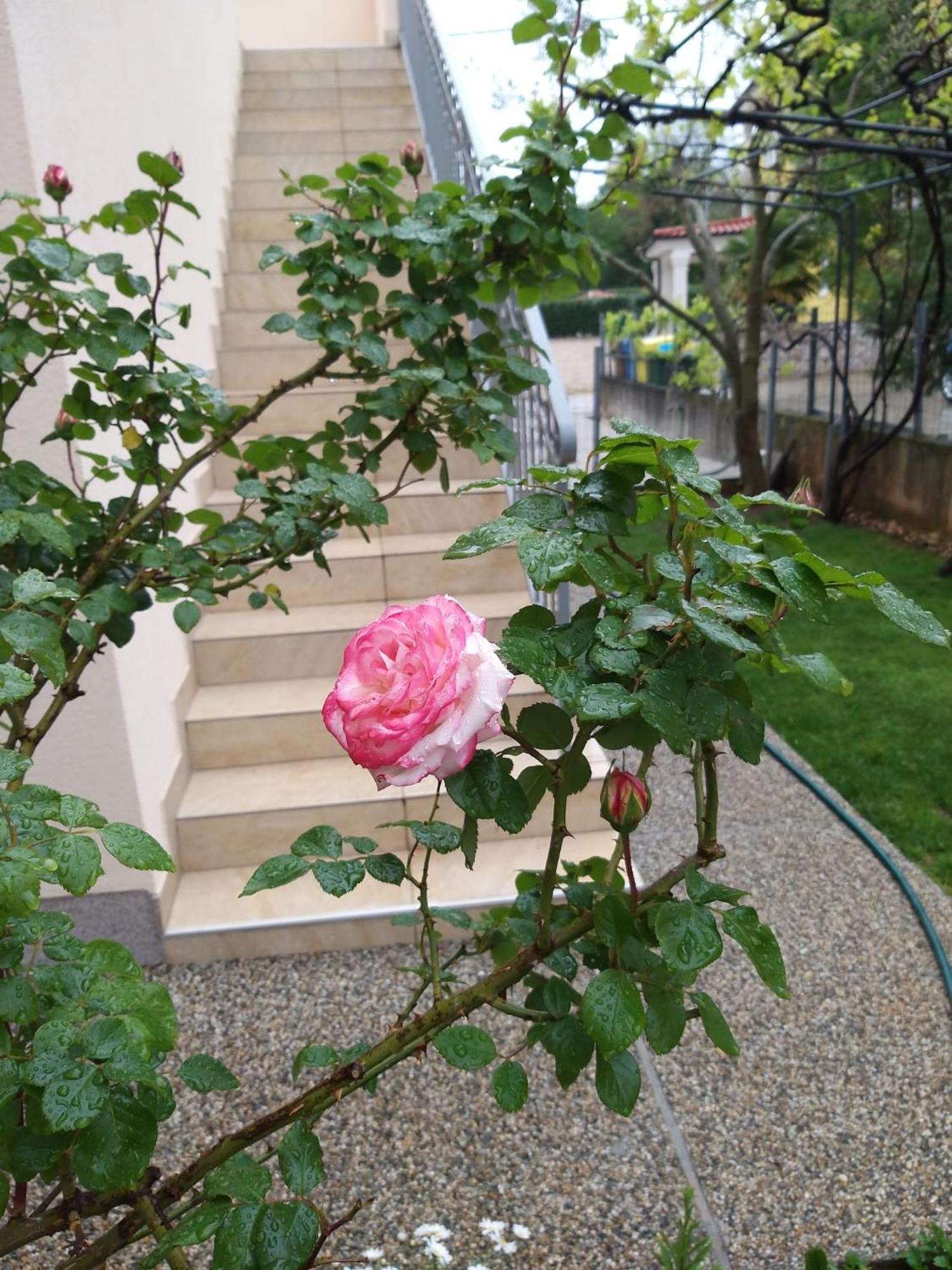 Apartmani Anita Malinska Exterior photo